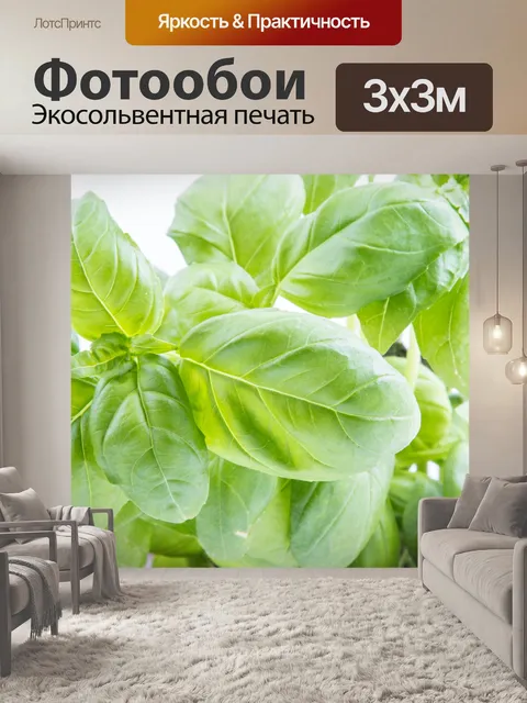 Фотообои Бэзил