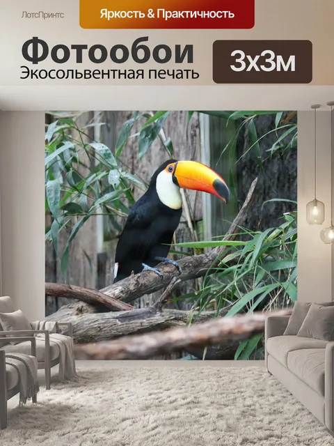 Фотообои Тукан
