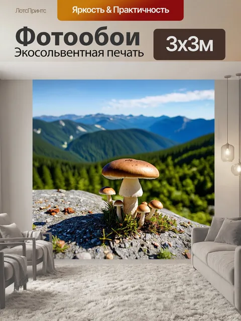 Фотообои грибы грибоед, занимающиеся спортом на пике горы, с мотивацией и энергией, с панорамным видом на долину