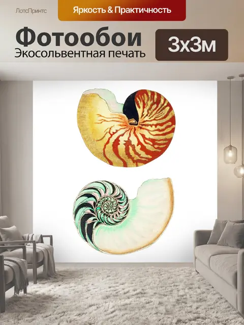Фотообои Ракушка старинное искусство старый