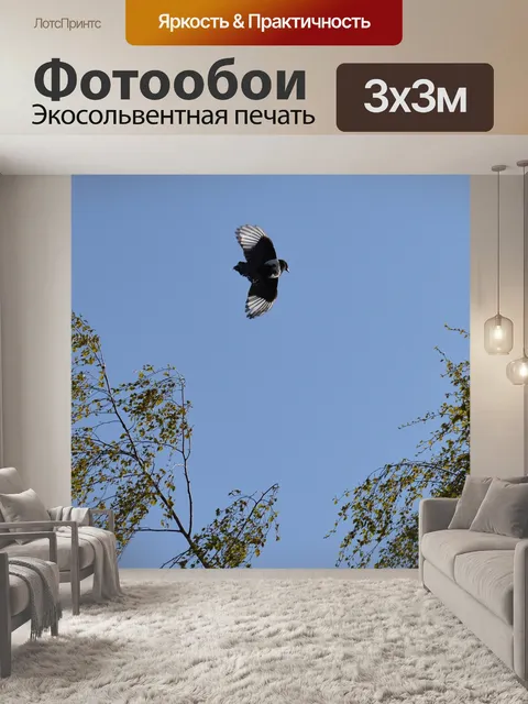 Фотообои Сорока