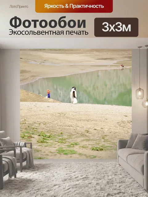 Фотообои Собака