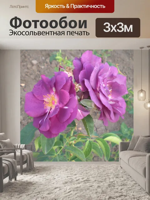 Фотообои Цветы