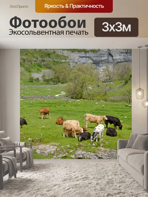 Фотообои Йоркшира