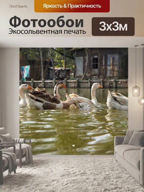 Фотообои Гуси