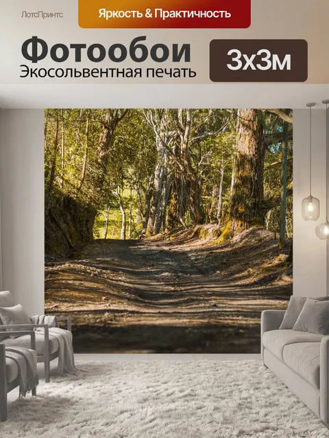 Фотообои Деревья