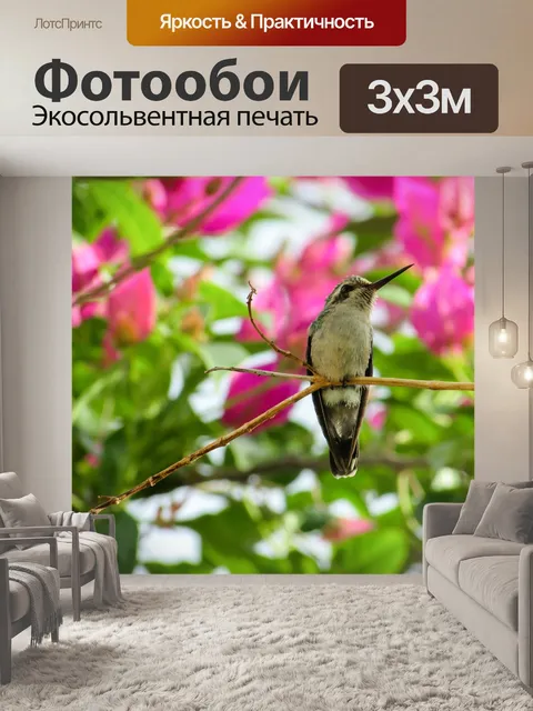 Фотообои Птица