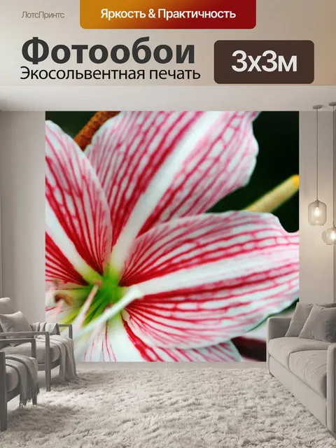 Фотообои цветок 3