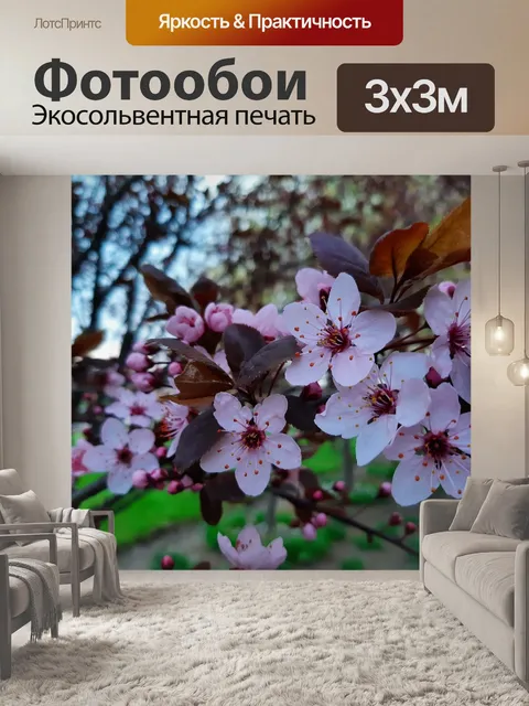 Фотообои Цветение сливы