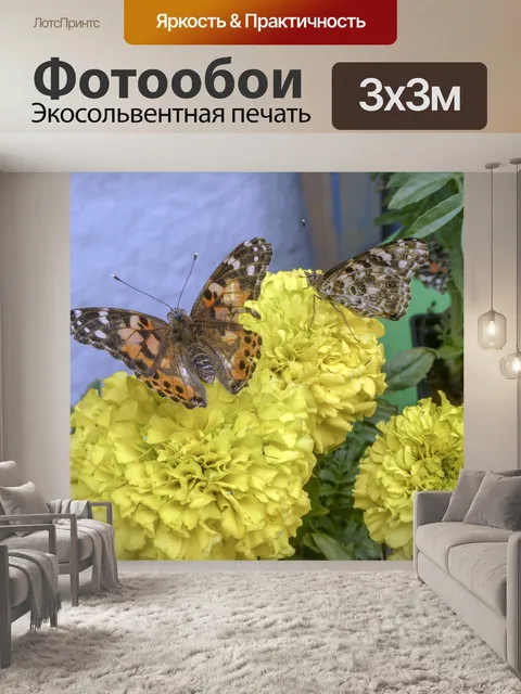 Фотообои Две бабочки
