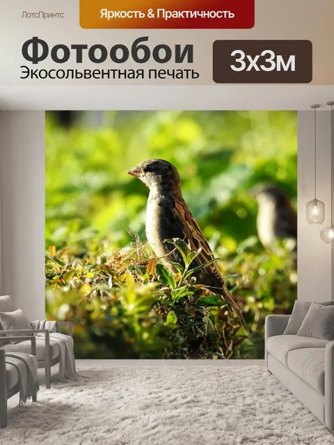 Фотообои Птица