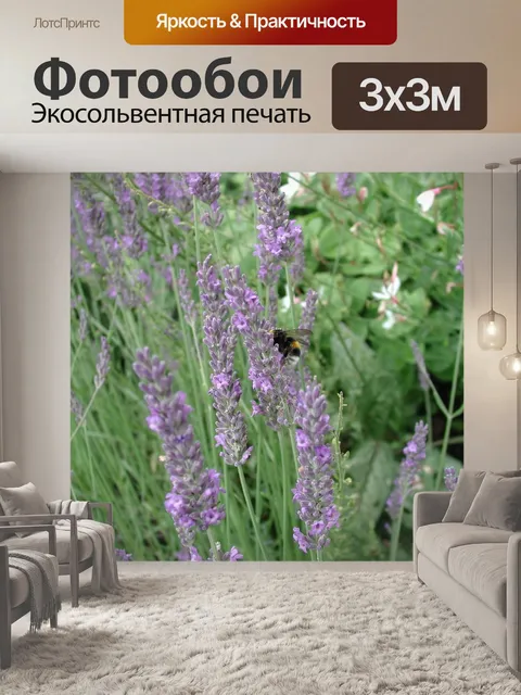 Фотообои Лаванда