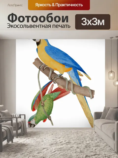 Фотообои Искусство Птицы Винтажный Ара