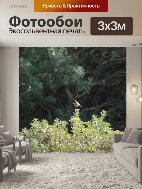 Фотообои Птица