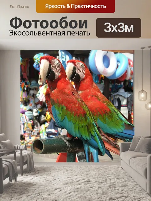 Фотообои Попугай