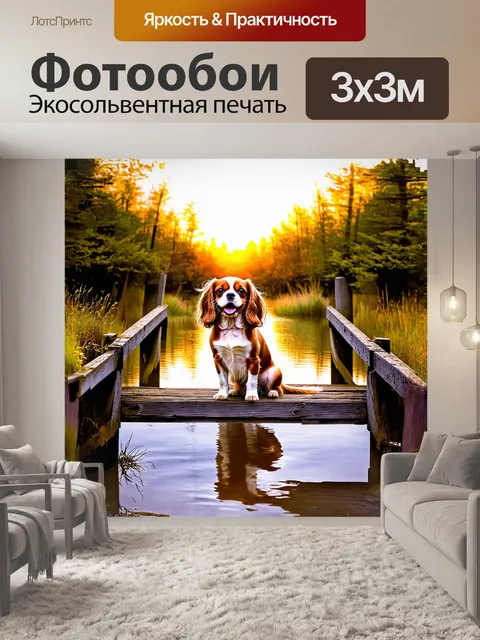 Фотообои кавалер кинг чарльз спаниель