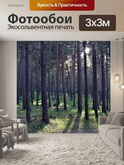 Фотообои Лес