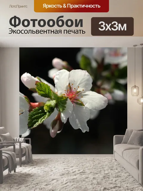 Фотообои Весна