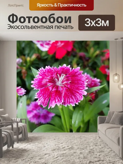 Фотообои Розовый