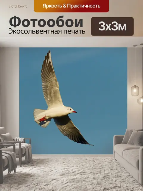 Фотообои Птицы