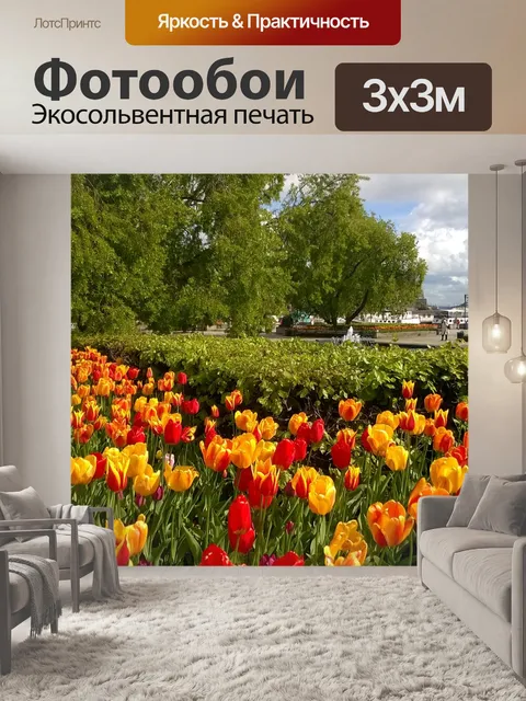 Фотообои Тюльпаны