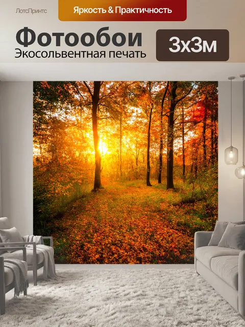 Фотообои закат в ярком лесу, осень, листья меняют цвет, волшебная атмосфера в воздухе