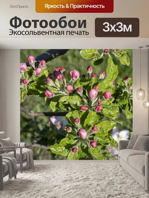 Фотообои Цветок