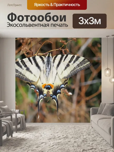 Фотообои Бабочки