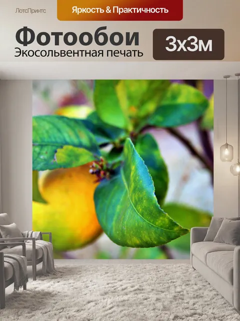 Фотообои лимон листьев