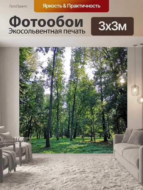 Фотообои Лес