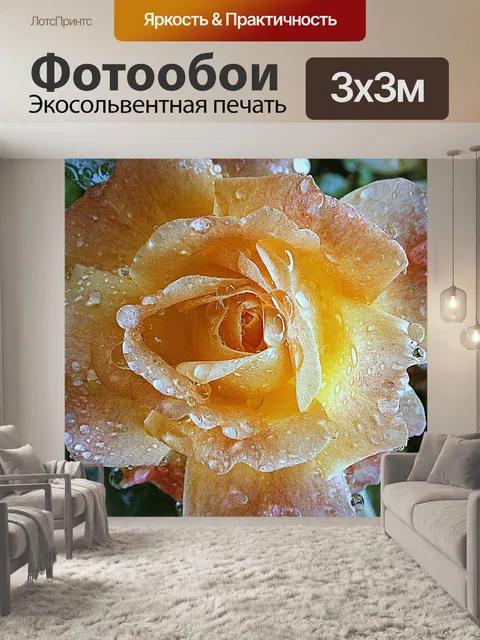 Фотообои Роза