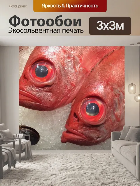 Фотообои Рыбы