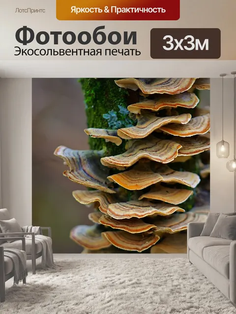 Фотообои Лес