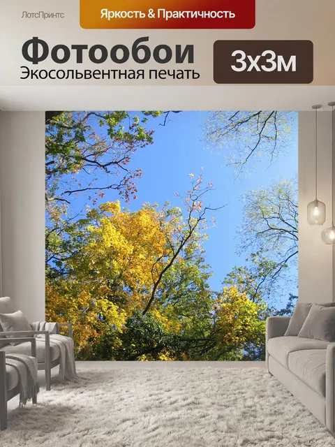 Фотообои Небо