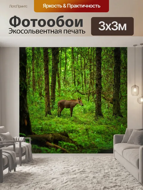 Фотообои запечатленный следами жизни дикой природы и ее удивительными моментами