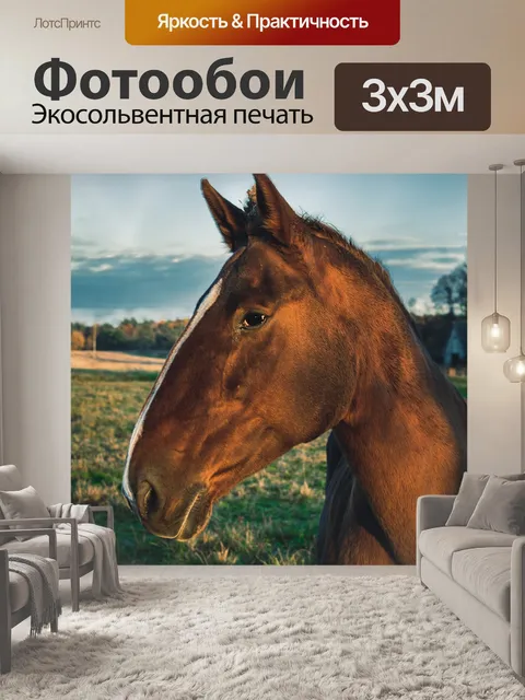 Фотообои Лошадь