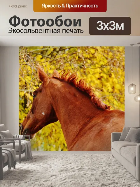 Фотообои Лошадь
