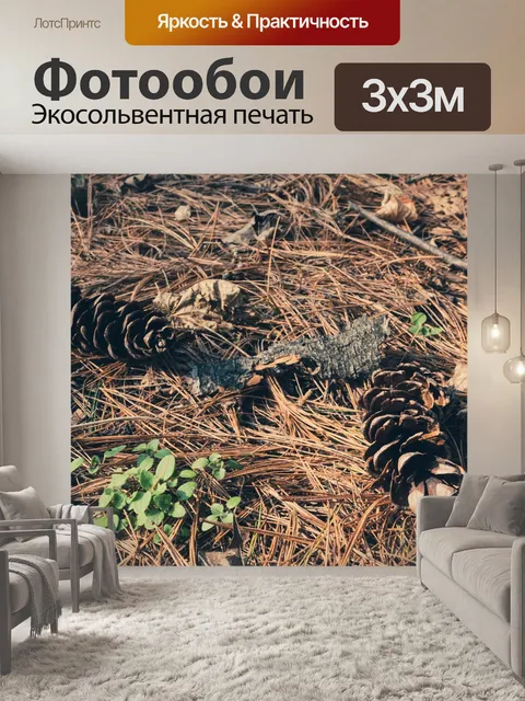 Фотообои Шишки