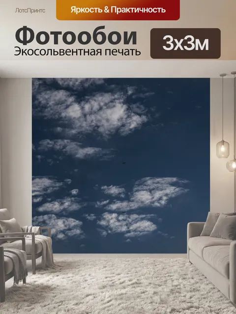 Фотообои Ястребы в облаках