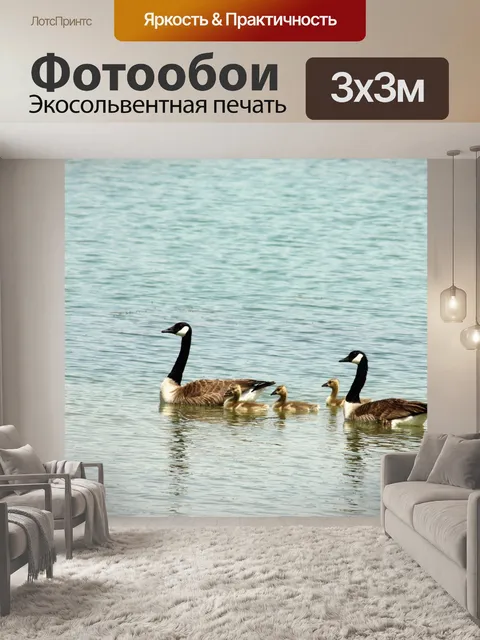 Фотообои Канада Goose Family Out для плавания