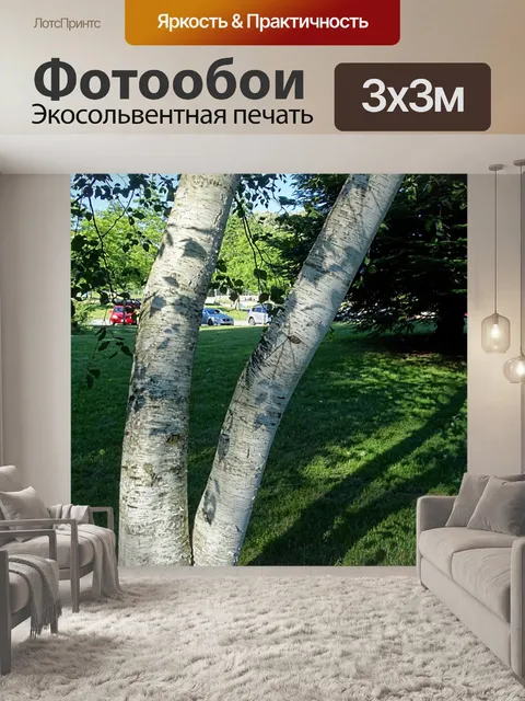 Фотообои Двойные деревья
