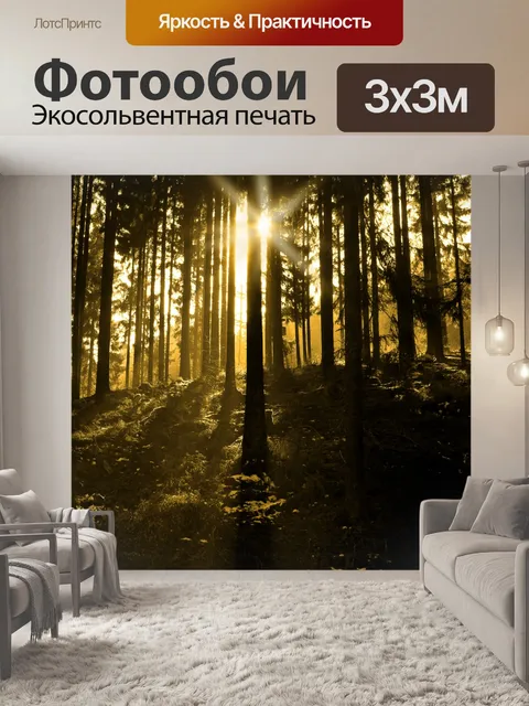 Фотообои Лес в солнечном свете