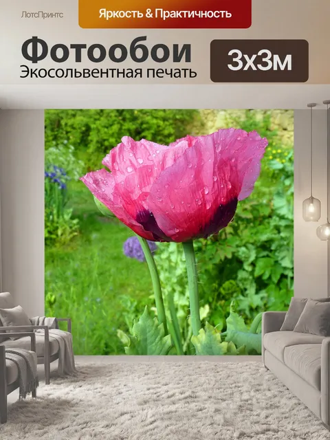 Фотообои Цветок