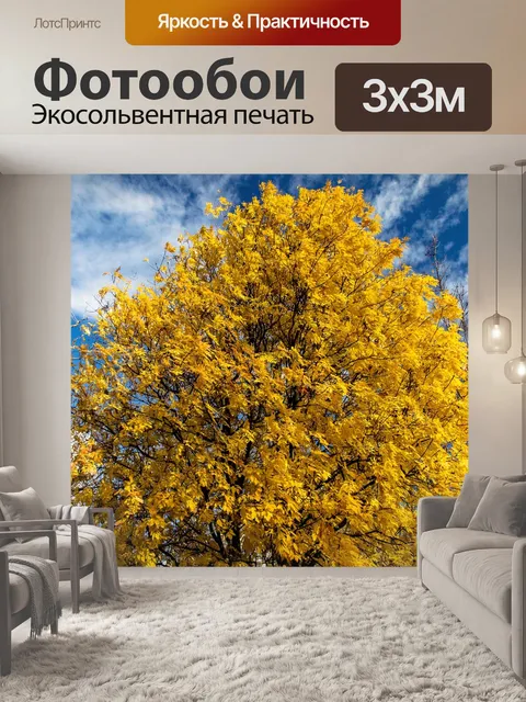 Фотообои Дерево