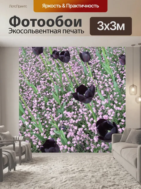 Фотообои Черные тюльпаны