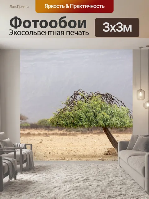 Фотообои Деревья