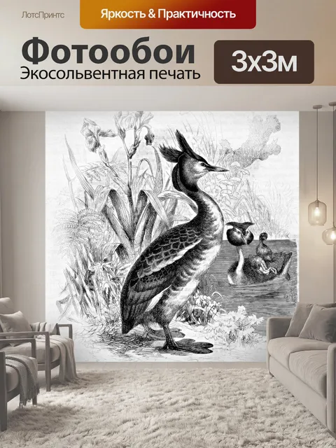 Фотообои Хохлатая поганка