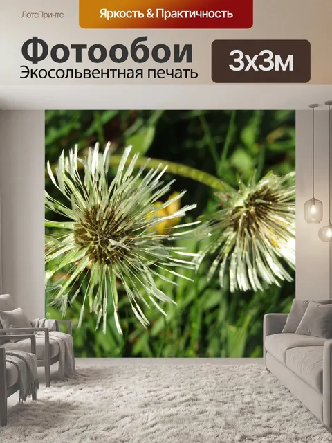 Фотообои Одуванчик