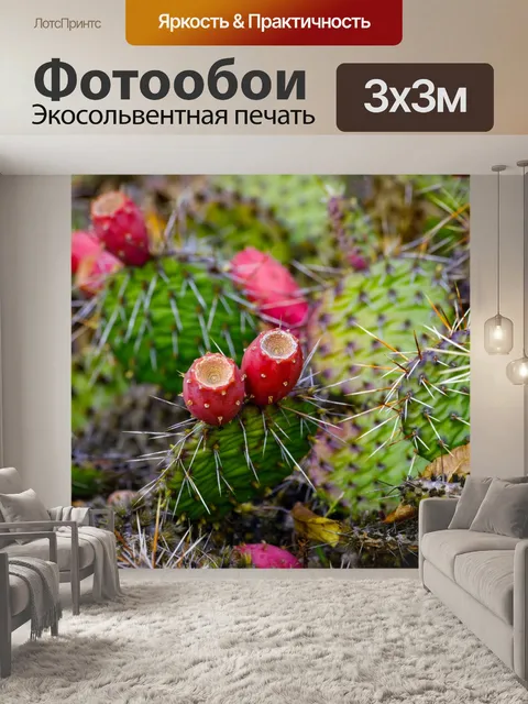 Фотообои Ботанический сад в Быдгоще