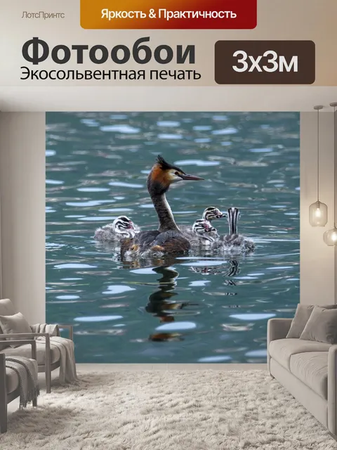 Фотообои Птицы